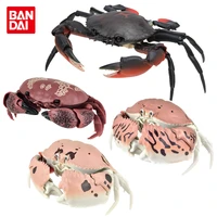 bandai original gashapon toys crab gashapon series simulation model crab action figure ornaments toys for christmas