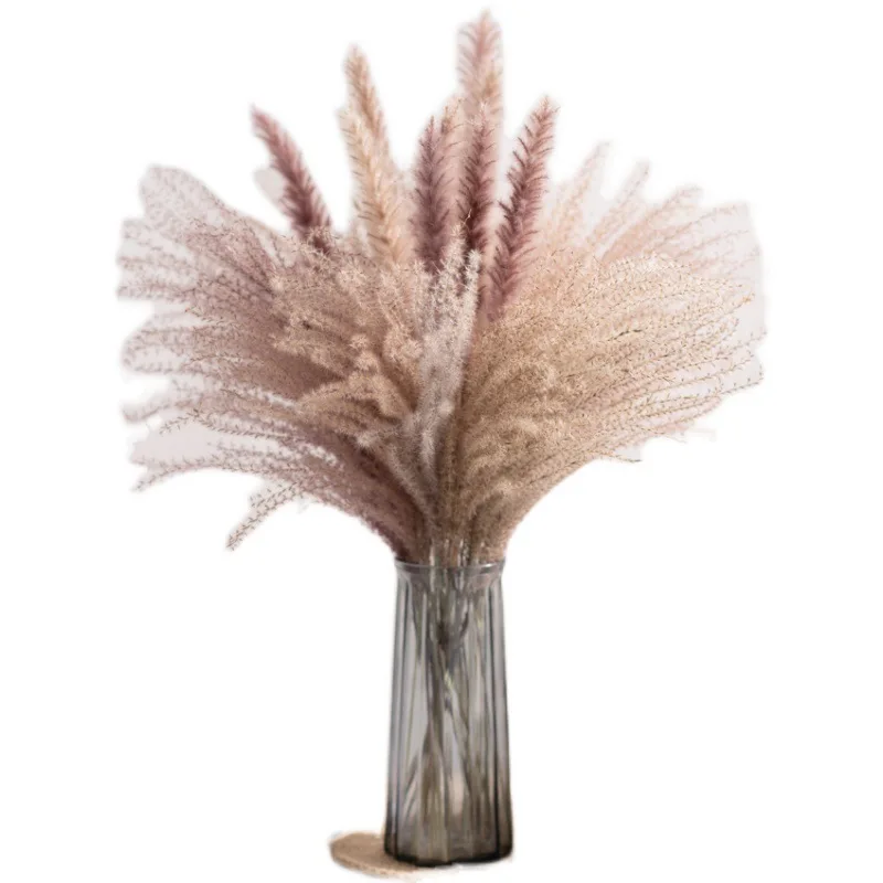 Ramo de Flores de ca&ntilde;a secas reales para decoraci&oacute;n del hogar, Flores de mesa Preservadas, hierba de Pampas Natural para habitaci&oacute;n, 30 piezas-4