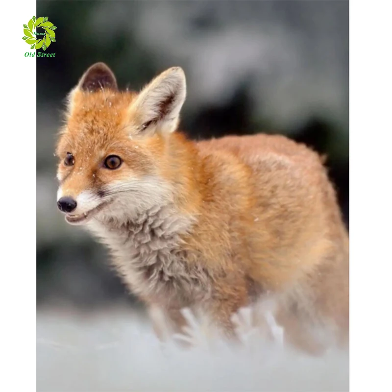 Алмазная 5D живопись OSH сделай сам круглая вышивка с животными мозаика узор для