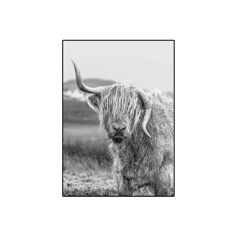 Минималистичная животная ферма холст живопись Highland Cow настенное искусство Bull