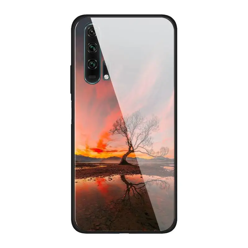 

Colour Tree Glass Phone Case Back Shell For Samsung Galaxy S20 Ultra S10 S9 S8 S7 Plus Edge S10 E Lite Note 8 9 10 Pro Cover