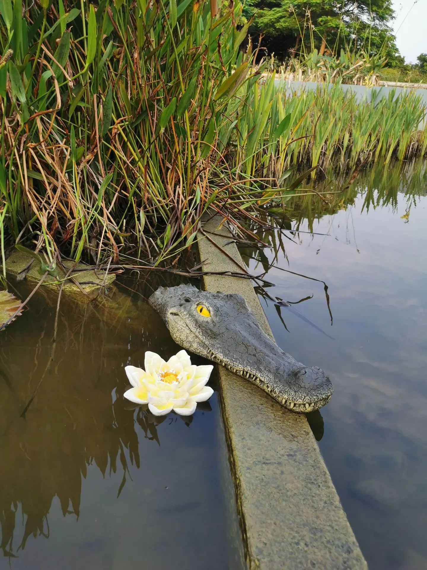 Большой размер плавающая голова крокодила имитация воды голова крокодила садовая приманка или пруд художественный декор для гусиного хищника героя