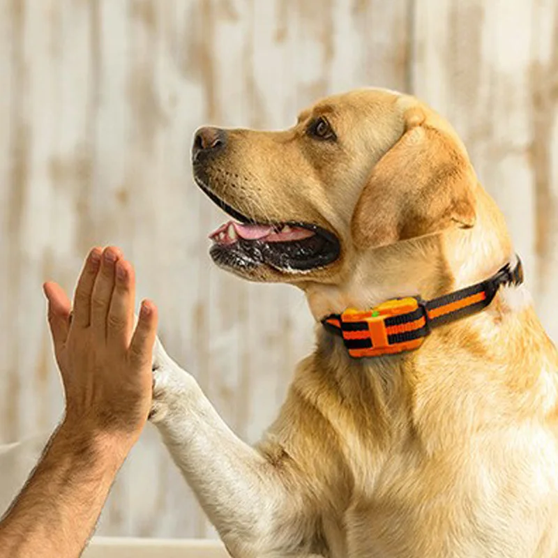 

Dog Trainer Remote Control Bark Stop Trainer Electric Collar Dog Trainer Remote Control 400M