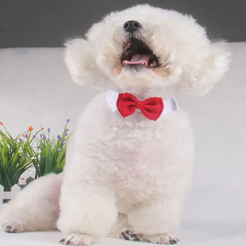 

Classic Pet Collar Circle Fashion Dog Bow Tie Gentleman Formal Cat Accessories Cotton Dog Collar Circle Cute Wedding Collar