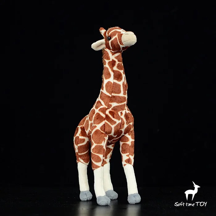 

Подарочная модель girafee