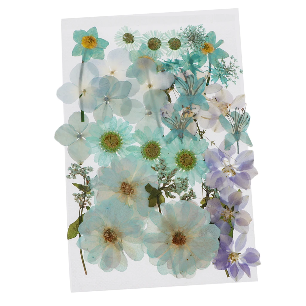 

36/37/38/39/42Pc Natural Real Pressed Dried Flowers DIY Scrapbook