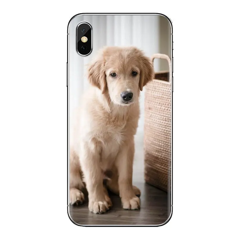 Soft TPU Phone Case Animals Golden Retriever Dog Pet For Huawei Honor 5A LYO-L21 Y6 II Compact Y5 2 Y5II Mate 10 Lite Nova 2i 9i |
