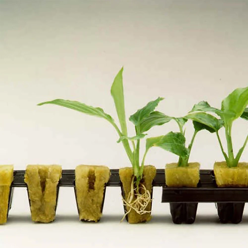 Soilless Culture Substrate Agricultural Cutting Seedling Block Hydroponic Grow Media Propagation Cloning Rockwool Cubes 50 | Дом и сад