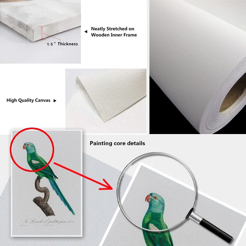 Желтая Настенная картина с плечами в виде попугая искусство на холсте