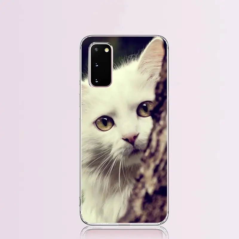 Scottish fold cat Coque Shell Phone Case for Samsung S9 plus S5 S6 S7 edge S8 S10 | Мобильные телефоны и аксессуары