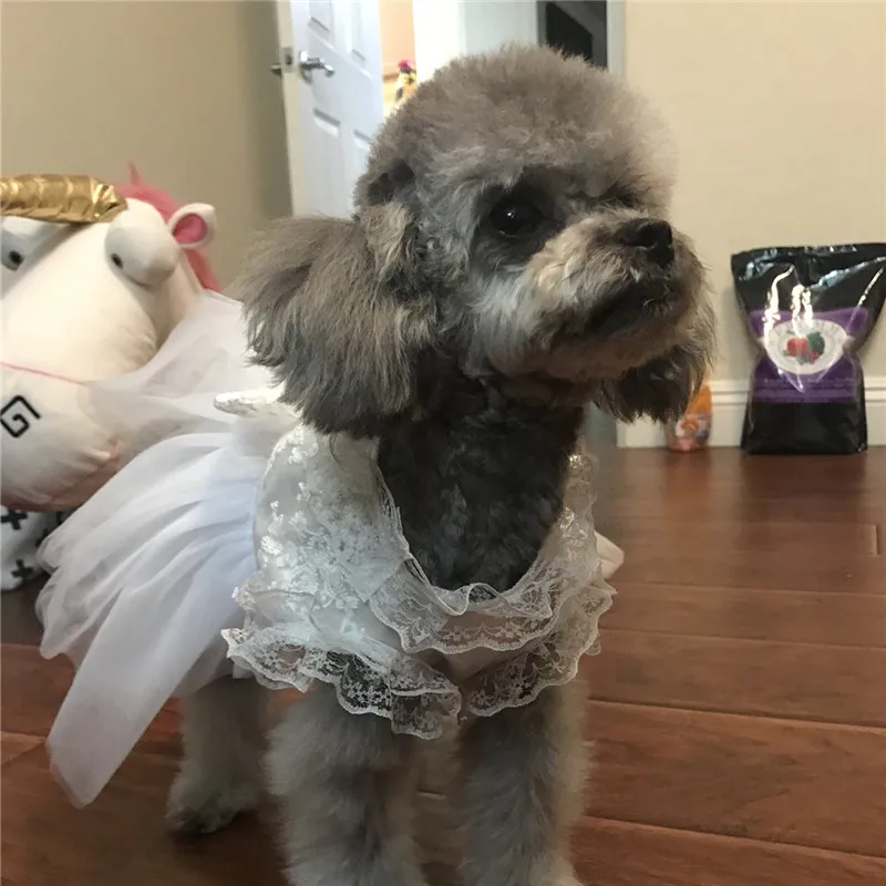 

Dog Clothes Summer Cat Dog Wedding Dress Corgi Tutu Chihuahua Yorkie Poodle Pomeranian Schnauzer Pug Pet Clothing Drop Shipping