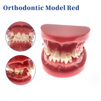 orthodontic tooth model demonstration teaching doctor patient communication results show