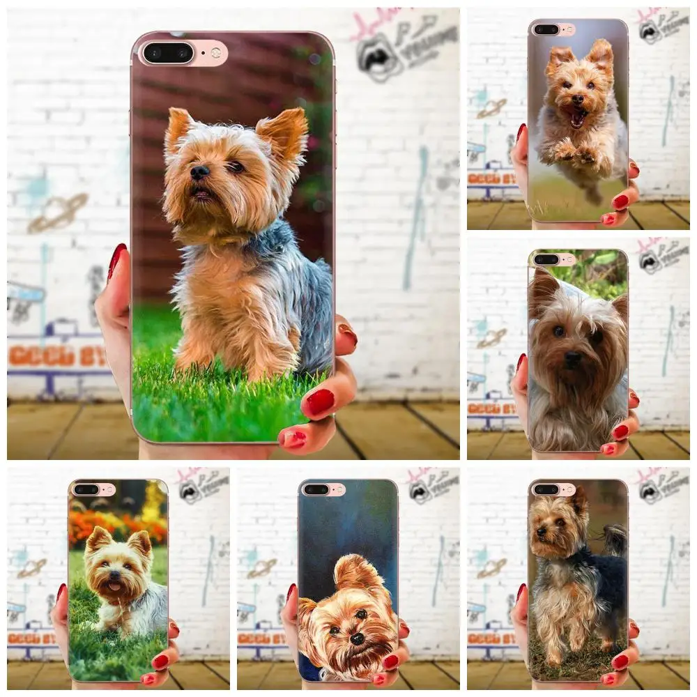 Yorkshire Terrier For Xiaomi Redmi Note 2 3 3S 4 4A 4X 5 5A 6 6A Pro Plus Soft TPU Mobile Phone | Мобильные телефоны и