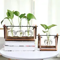 Creative wooden frame hydroponic green rose glass vase container basin office desktop green plant modern ornaments