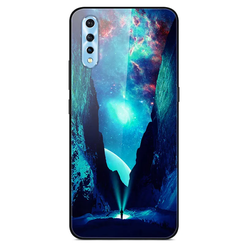 Чехол из закаленного стекла для Vivo S1 мягкий бампер с 3D принтом кошки чехол VIVO V17 Neo