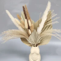 dried natural plant palm leaves reed pampas rabbit tail grass decor flower wedding party bohemian home living room decoration