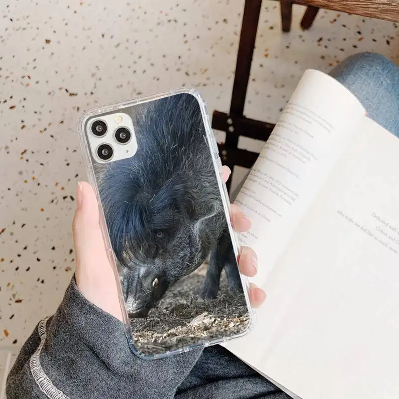 

Wild boar animals are ferocious Phone Case Transparent soft For iphone 5 5s 5c se 6 6s 7 8 11 12 plus mini x xs xr pro max