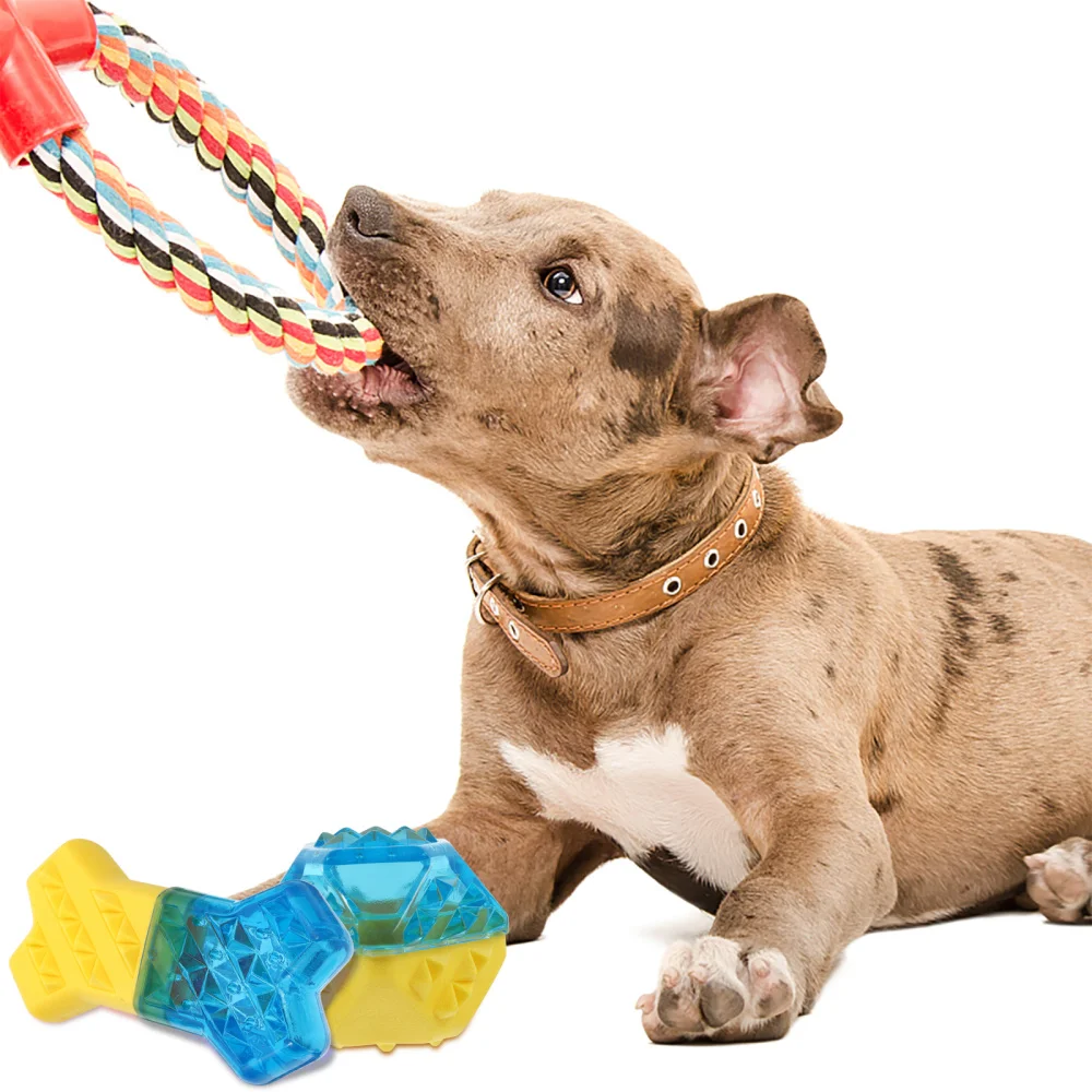 

3Pcs Fish Shape Dog for Aggressive Chewers Puppy Dog Toothbrush