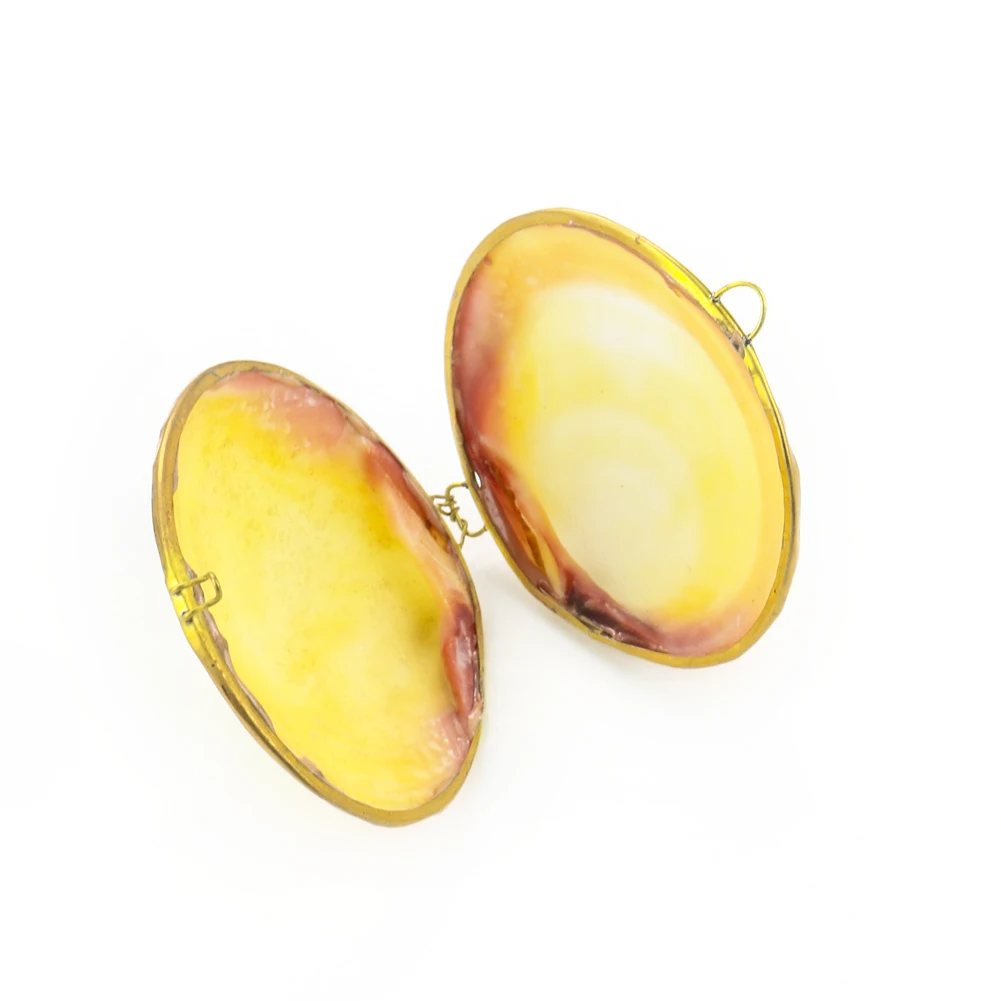 Шкатулка для ювелирных изделий из натуральной ракушки 1 шт. | Дом и сад