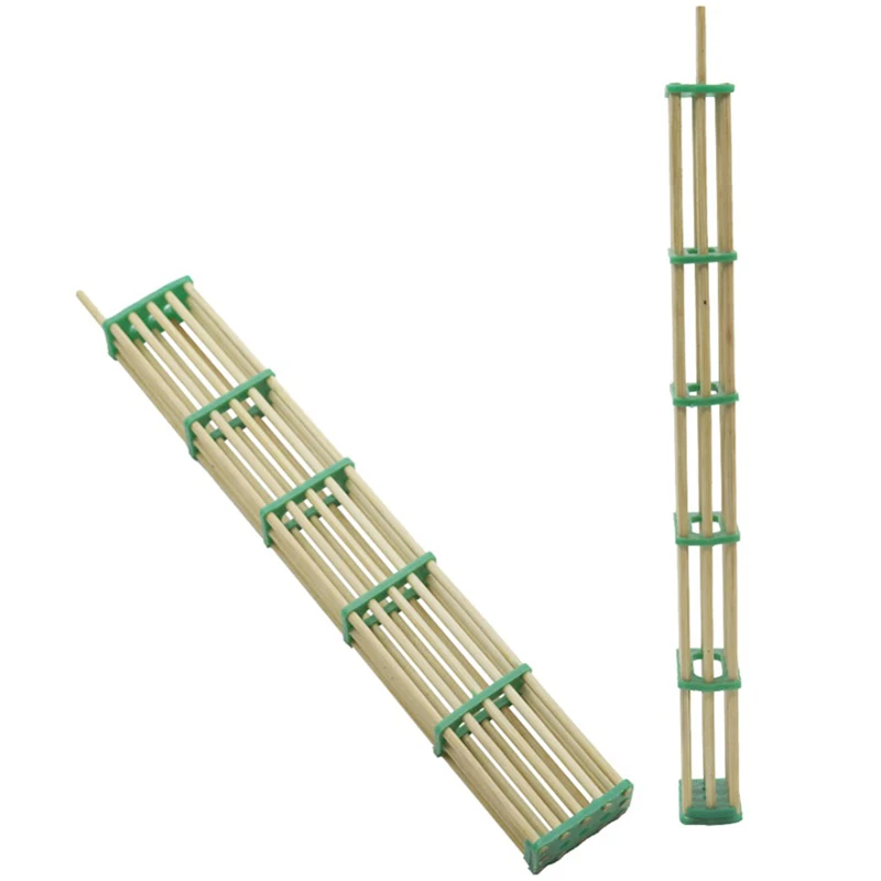 30 штук из пяти плюс длинная бамбуковая клетка королева пчела Пчеловодство