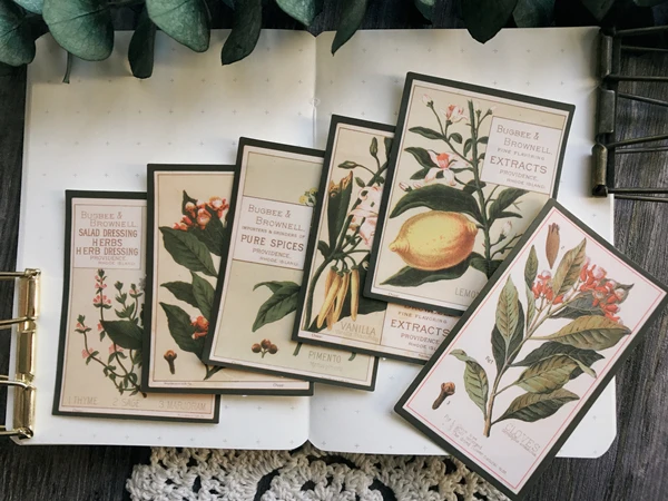 

8Pcs/Bag Vintage Plants English Letters Sticker DIY Craft Scrapbooking Album Junk Journal Planner Decorative Stickers