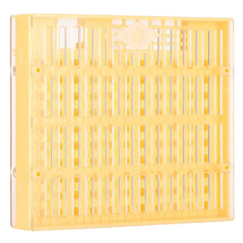 Пластик пчела король разведение коробка инкубатор свободно перемещать