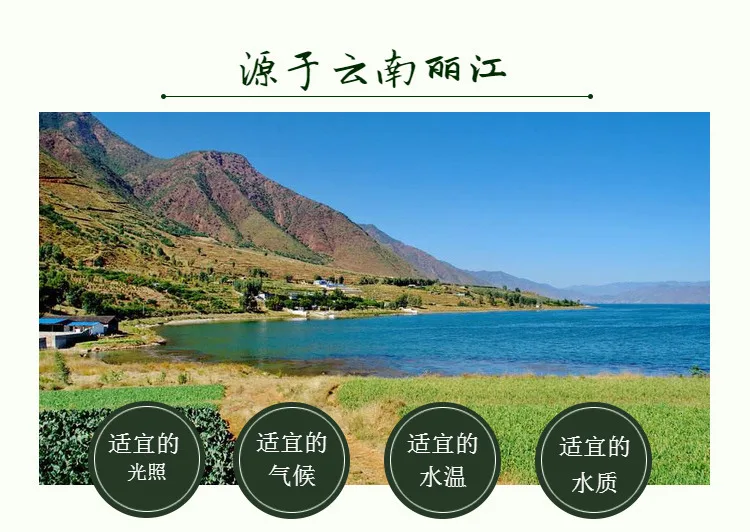 100% Китайский Юньнань Зеленый органический Спирулина натуральные таблетки