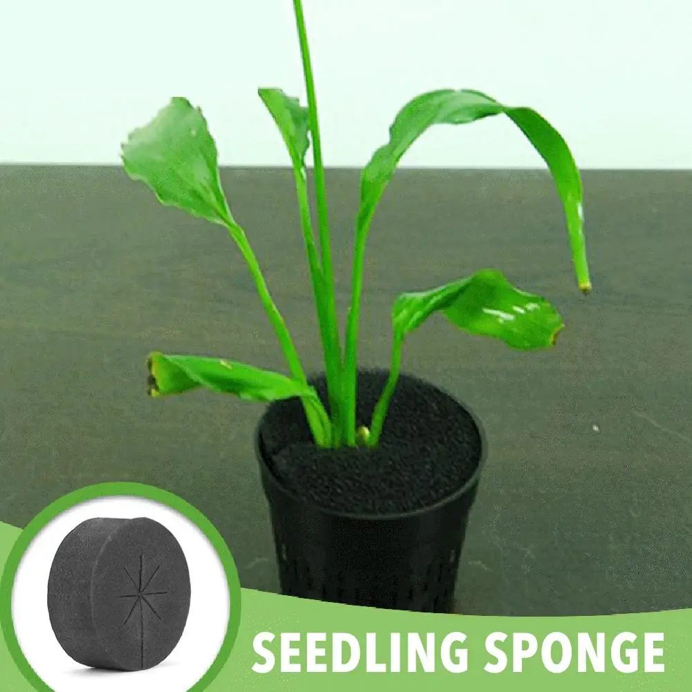

60 Pcs Nursery Vegetable Planting Sponge Block Soilless Culture Hydroponic Planting Foam Vegetable Gardening Tools