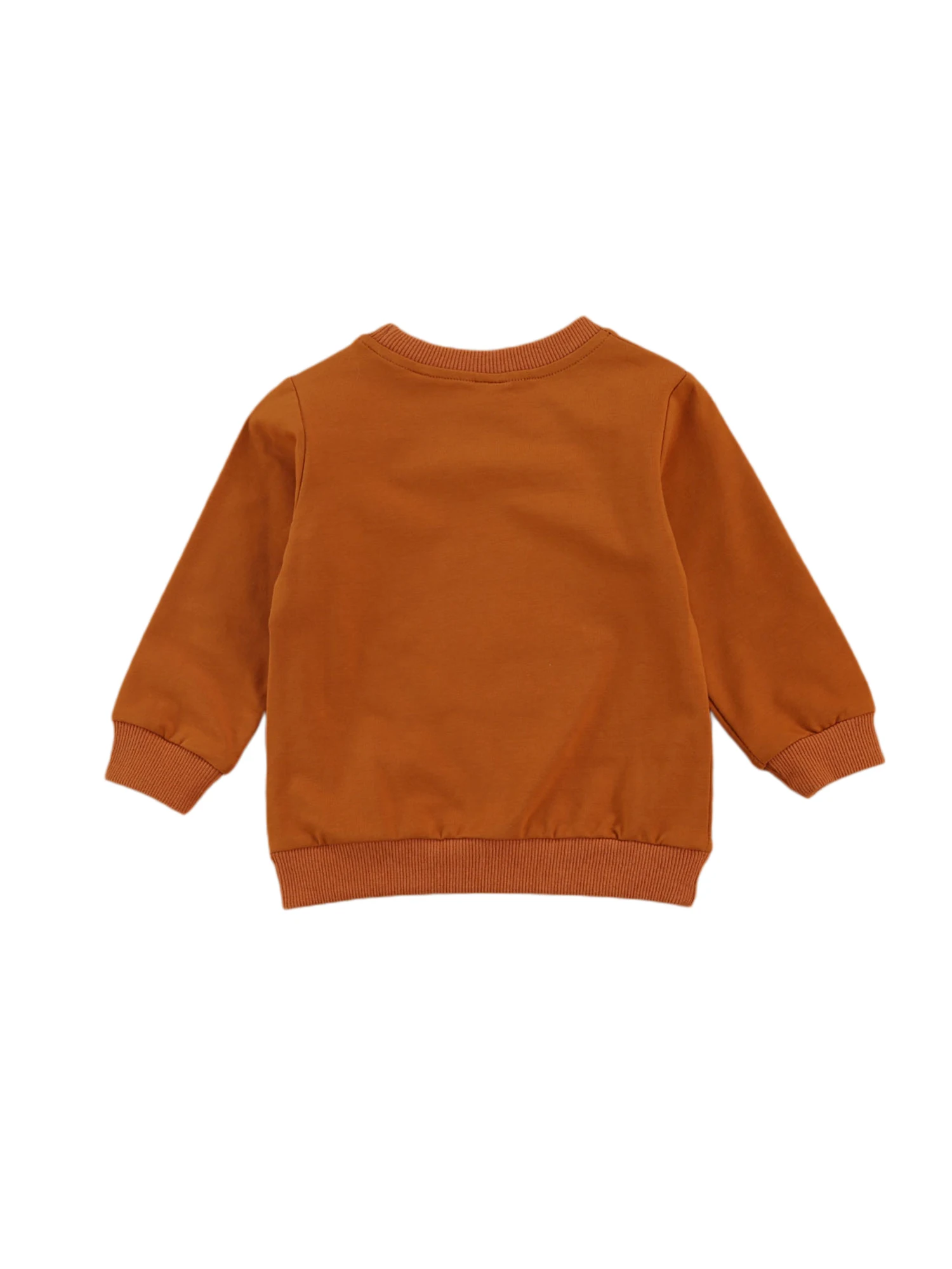Toddler Baby Casual Sweatshirts Rainbow Printed Long Sleeve Round Neck Pullover Tops Baby Spring Autumn Hoodies Top 1-6T