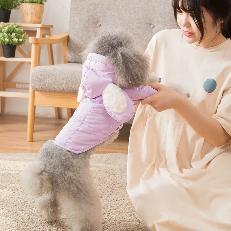 Новый костюм в стиле принцессы для собак на осень/зиму 2019 милая модная одежда с