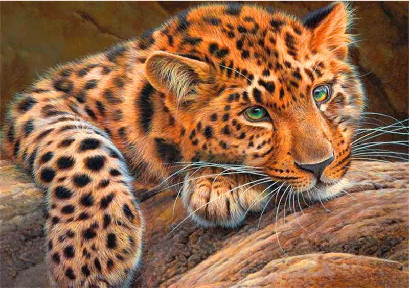 Leopard animals Новое поступление рукоделие DIY Кристалл полная дрель квадратная 5D алмазная живопись Набор для вышивки крестиком Мозаика круглые стразы - Цвет: Leopard 22