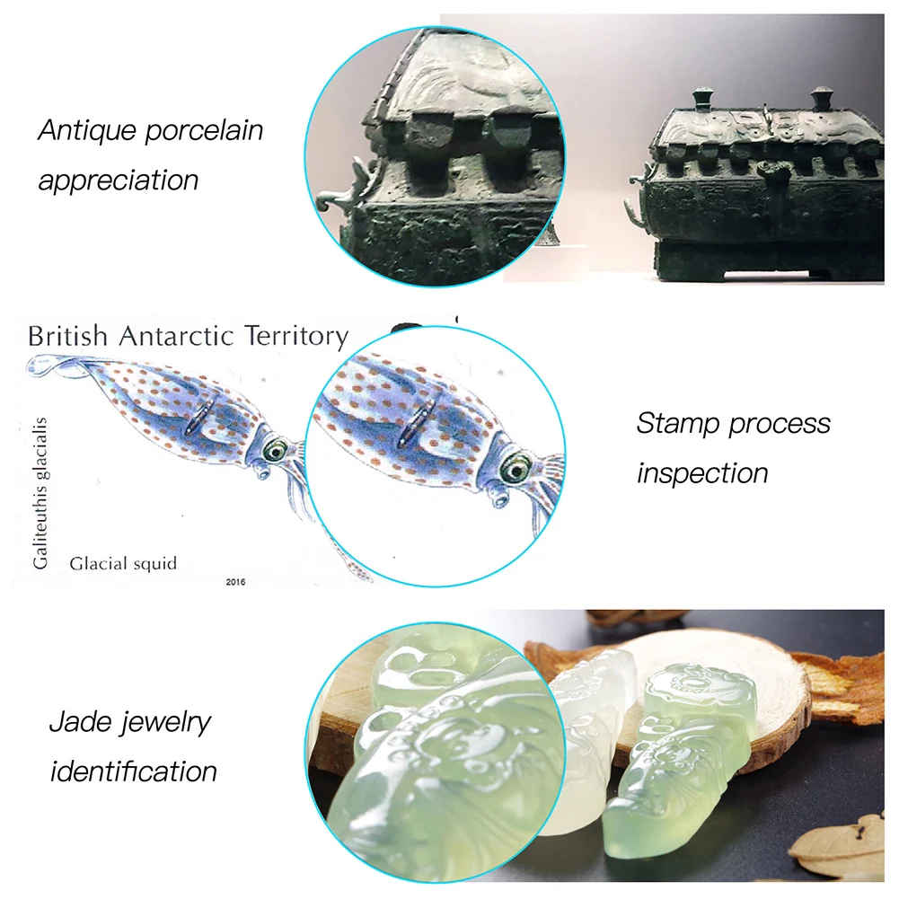 

WiFi Wireless Digital Microscope HD 2.0MP 1080P Handheld USB Microscope Camera 50X to 1000X Magnification for iPhone PC Windows