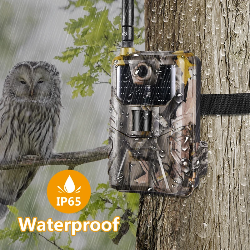

900LTE Wildlife Hunting Camera Outdoor Night Vision Photo Trap For Hunting 4G Infrared Hunting Camera 4G Solar Panel Rechargable