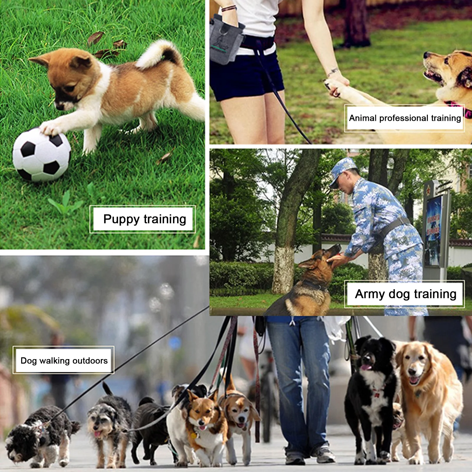 

Pet Training Bag Multifunctional Outdoor Dog Snack Pouch Portable Treat Snack Bait Dogs Obedience Agility Outdoor Feed Storage