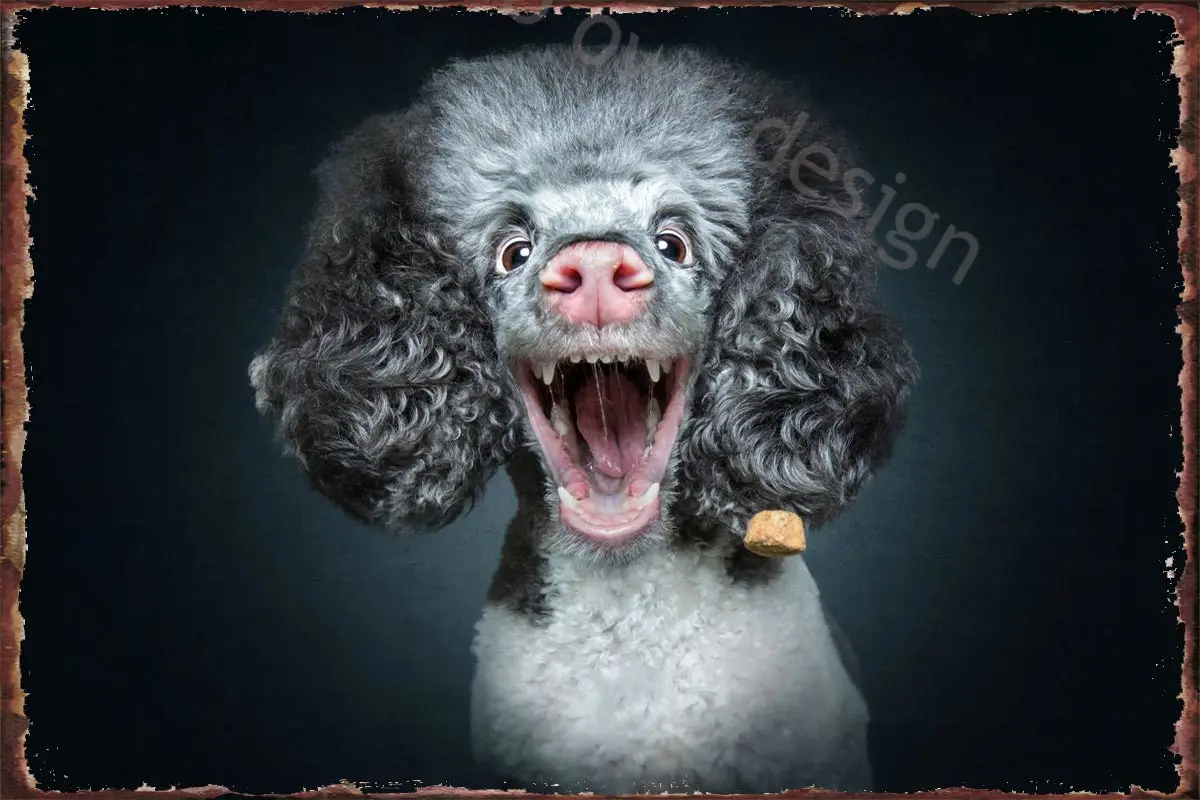 

Жестяные пластины в виде сумасшедшего пуделя, декор для стен, декор комнаты, Ретро винтажный металлический знак, жестяной знак для искусств...