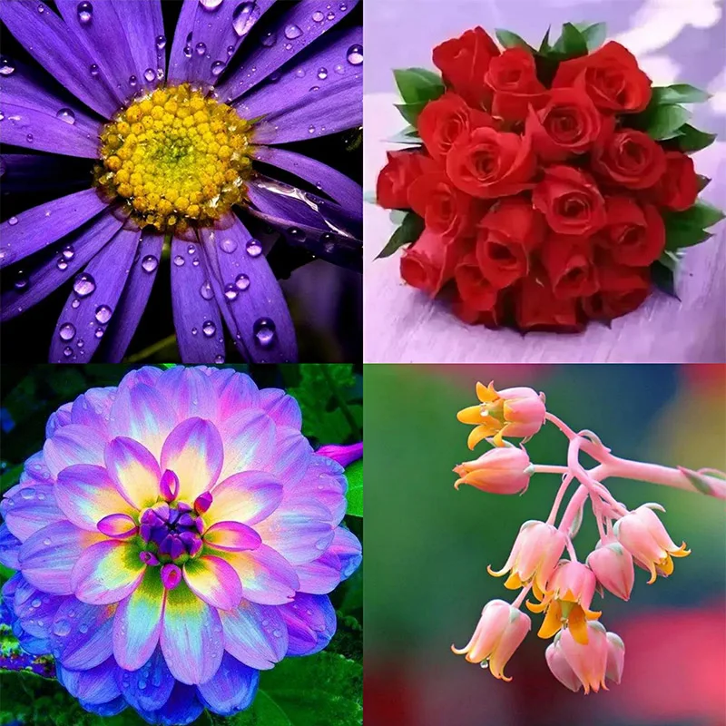 

Diamond Painting 5D Diamonds DIY Flower Cross Stitch Full Square Round Embroidery Colorful Handmade Home Room Wall Decor