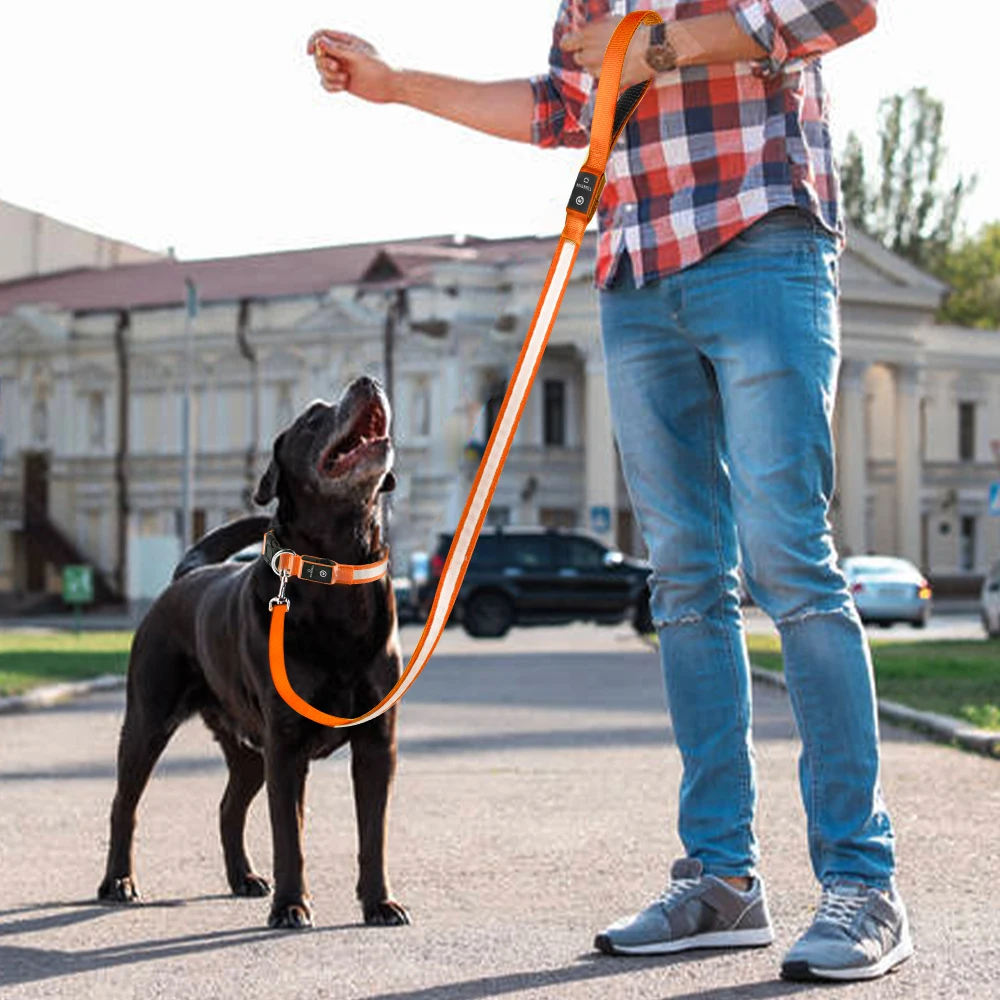 

Нейлоновый Поводок для собак, светоотражающая лента для дрессировки больших домашних животных, светоотражающая, с управлением дорожным дв...