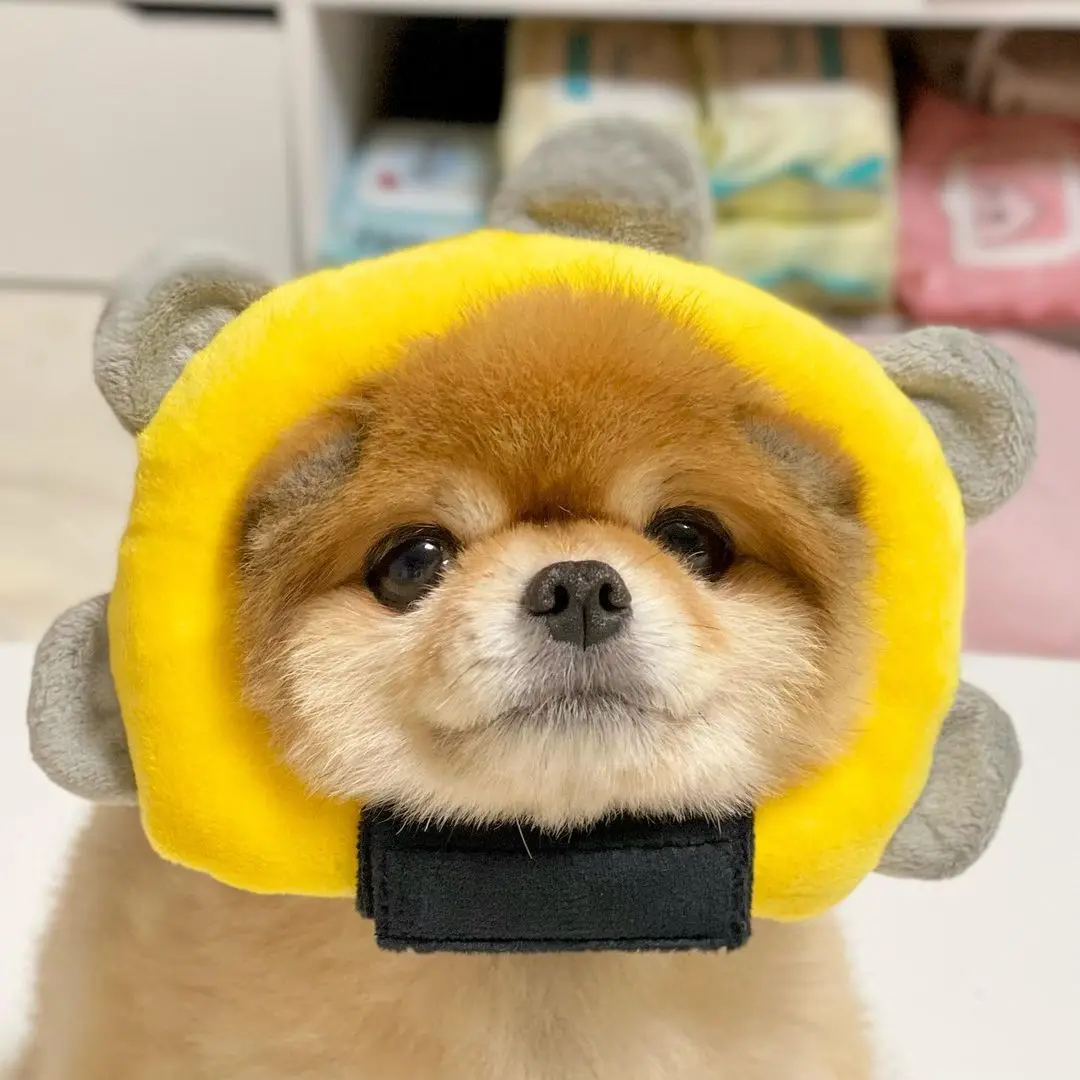 Ins модная игрушка для собак Ktv с микрофоном погремушка тренировок комната песен