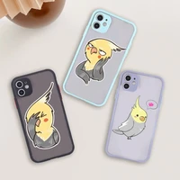 cartoon cute parrot phone case for iphone 12 11 mini pro xr xs max 7 8 plus x matte transparent blue back cover