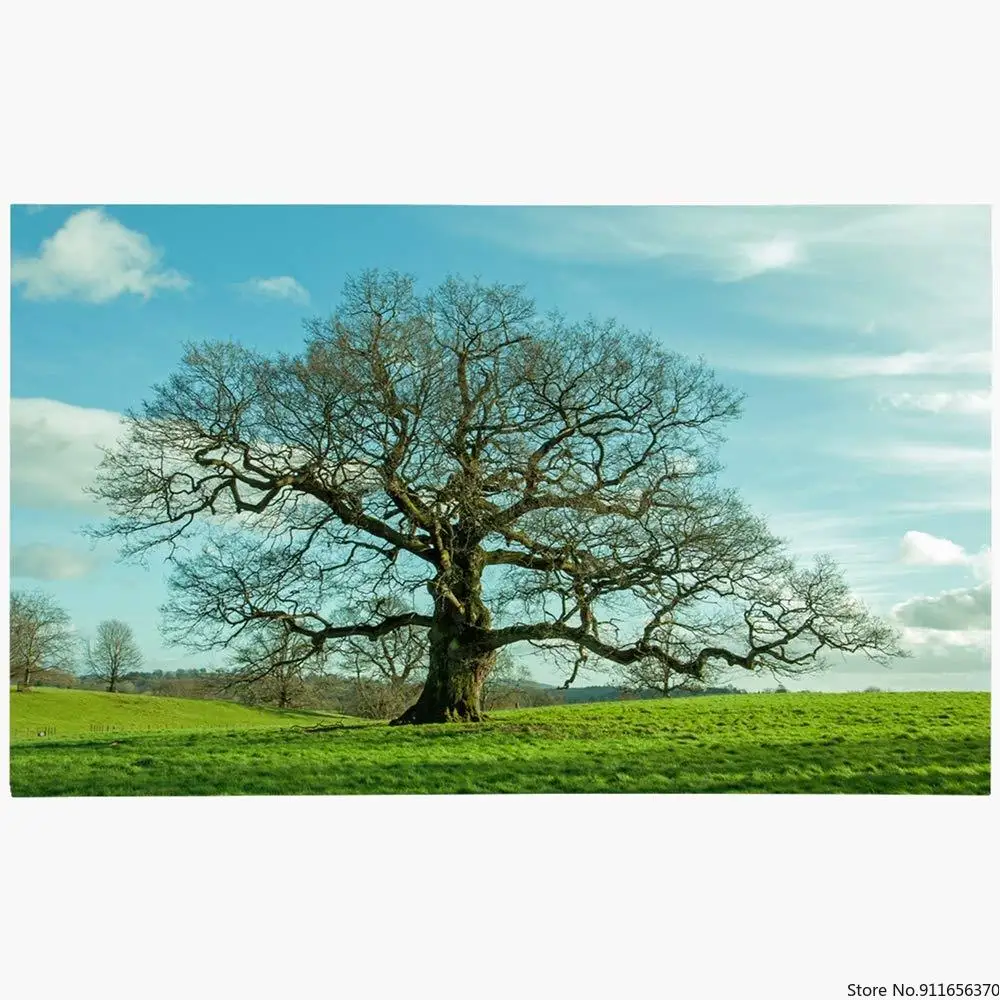 Дверной коврик 18x30 для сельского хозяйства весеннее дубовое поле британская