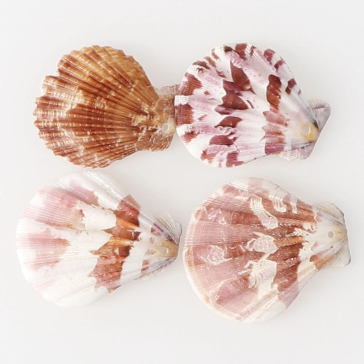 10 шт./упак. природного оболочки Толстая гребешок сделай сам аксессуар с