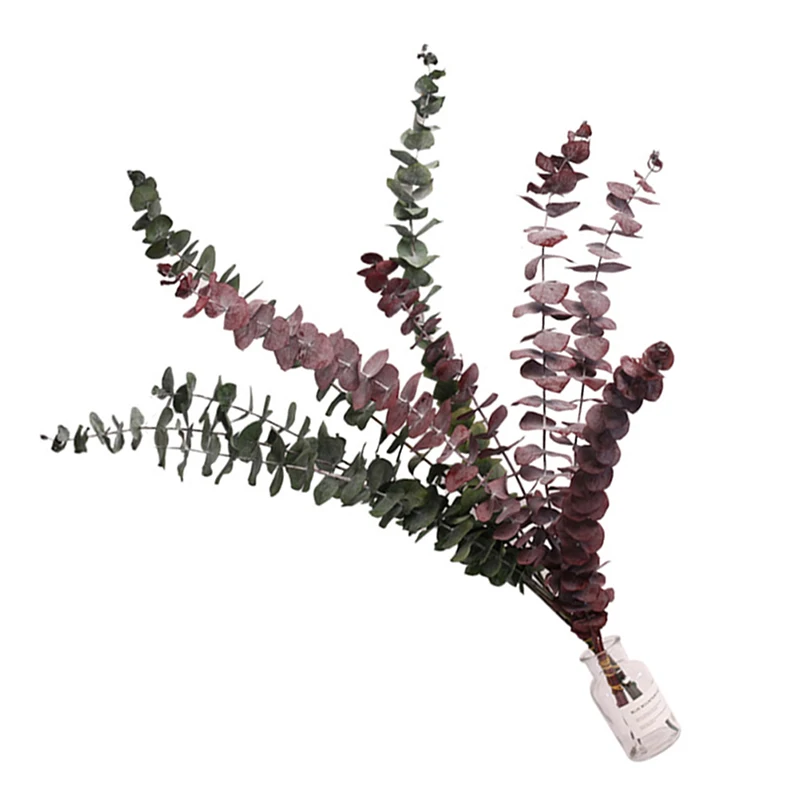 

40-50 cm/10 pcs Natural Fresh Forever eucalyptus leaves Decorative Grass Coins Dry preserved Eternal Leaves For home Decorative