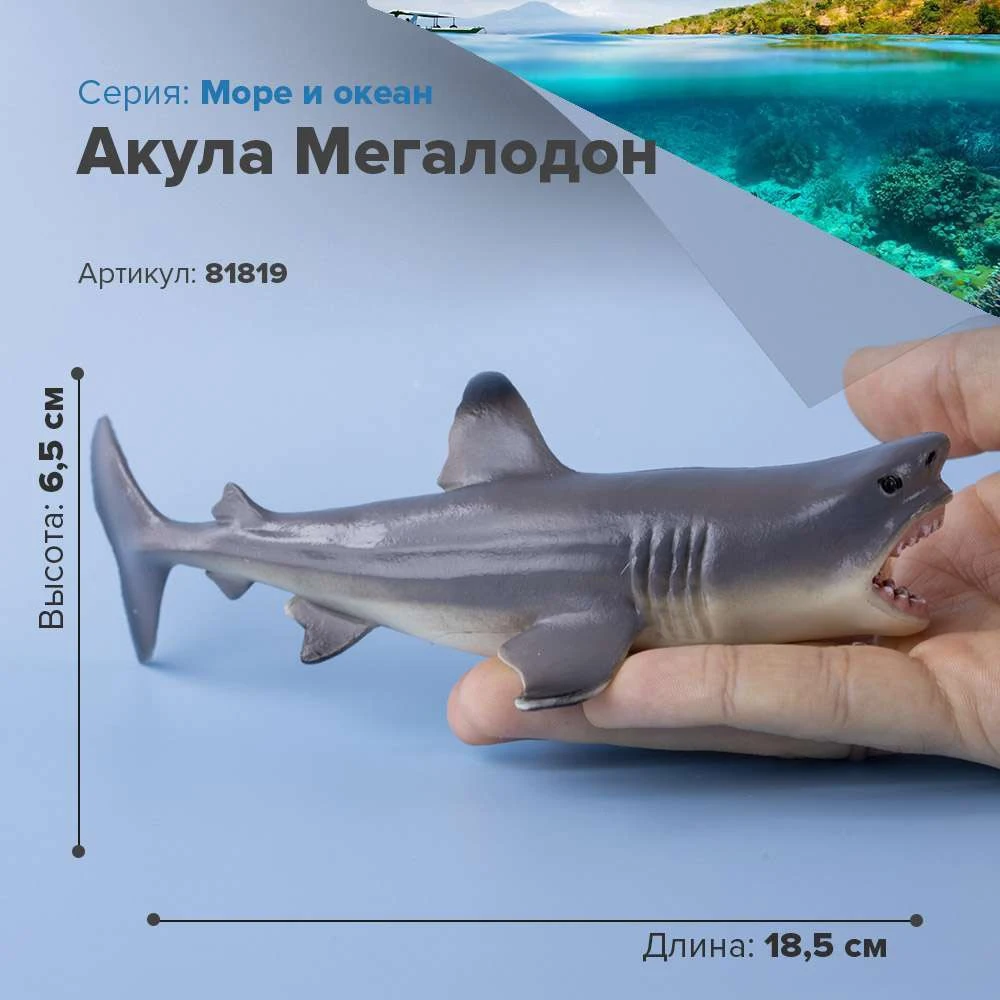 Best Offer 0 Off Sea Animal Figures Ocean Dolphins Whales Shark Megalodon Children S Collectible Toy Model Game Set Toys For Children Action Girls Boys Figurine Gift Home Decorative Educational Models Derri Animals