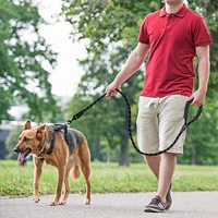 1pc durable reflective dog leash lead nylon training dog traction slip rope dog cat collar leash outdoor pet training leash rope