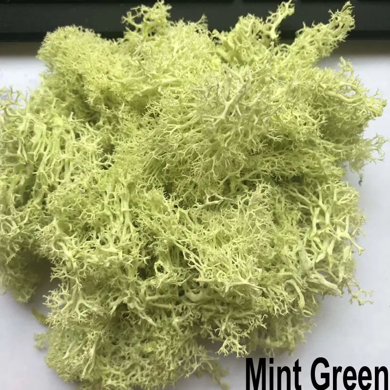 Mint Green 10 г/лот, декоративный сфагнум, сухой Натуральный Свежий мох, настоящая вечная сушеная трава, сделай сам, декоративные консервированные цветы, аксессуары - Цвет: Mint Green