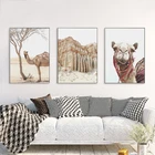 Южнозападный Декор пустынный верблюд фотопечать Бохо настенная живопись на холсте постер для путешествий настенные картины для гостиной дома