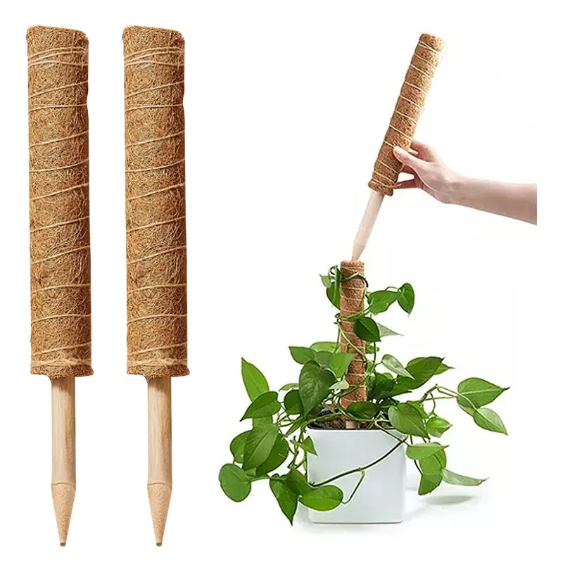 12PC/set Plant Climbing Pole Coir Moss Stick Palm Vines Support Extension Indoor Plants Creepers | Дом и сад