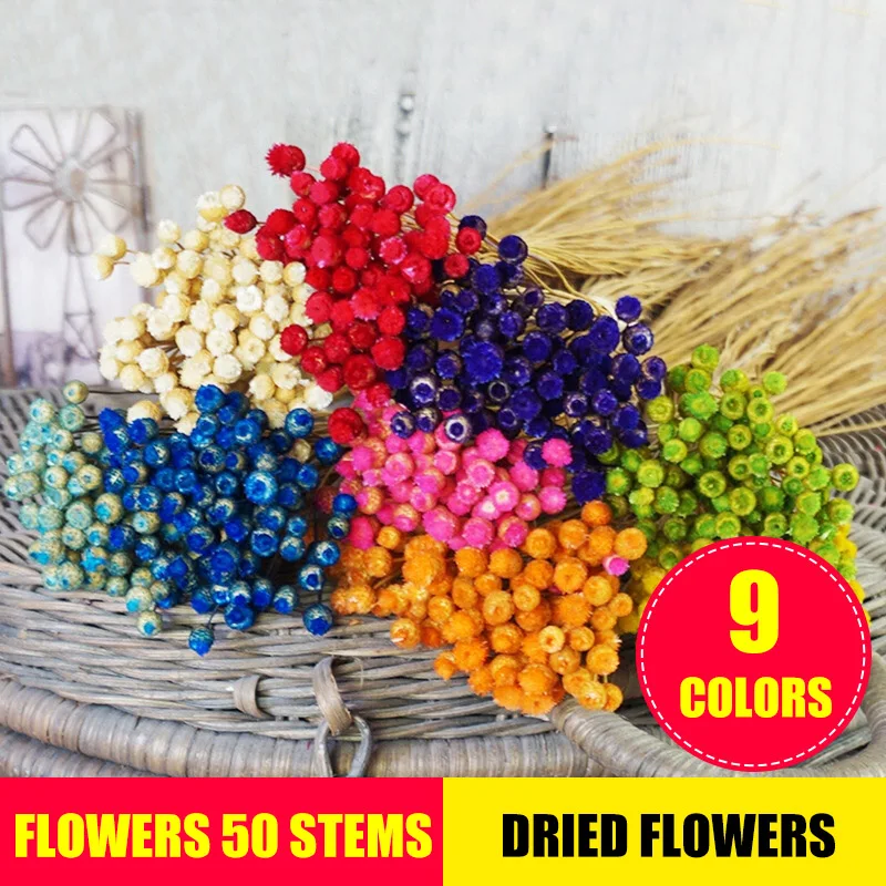Flowers 50 Stems Dried for Arrangements Bundle Home Decor Photo Props Handmade Air-drying HG99 | Дом и сад
