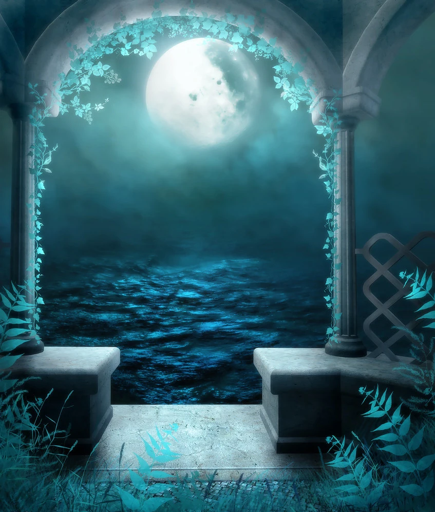 Пользовательские Печатные фоны романтический цветочный лунный ночной студийный