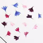 Сушеные цветы, натуральные декоративные сушеные цветы, искусственный васильковый цветок, сделай сам, украшение для комнаты, ногти, свечи, украшение для телефона, 20 шт.